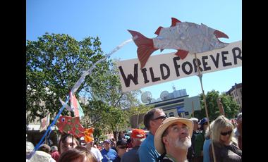 fish on sticks workshop..salmon are sacred.2